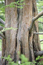 尼尔谈《美末2》浪漫元素：感到不舒服 但联合编剧极力推动